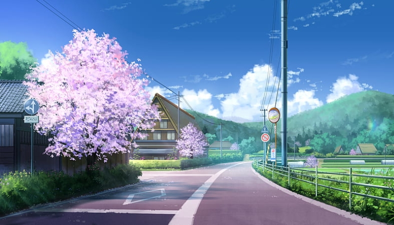 Profile banner