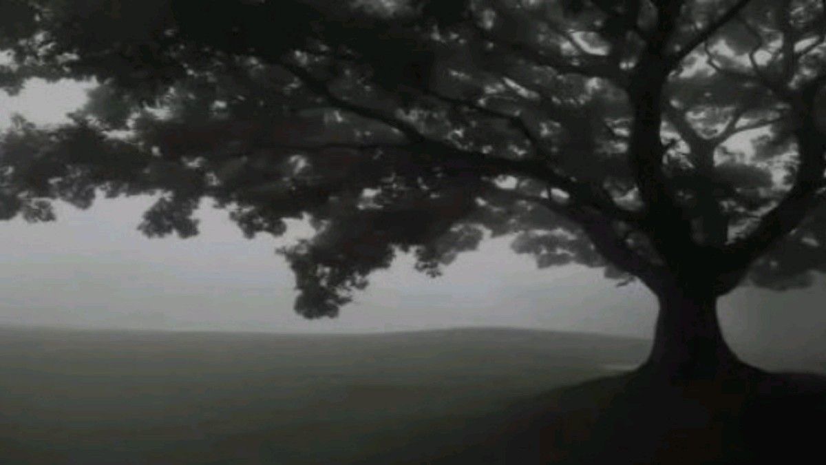 Profile banner