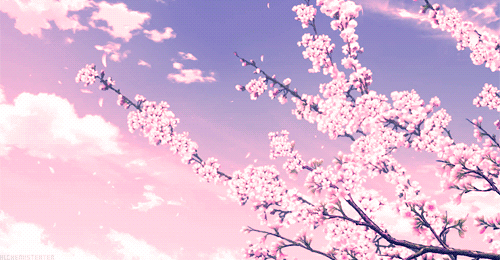 Profile banner
