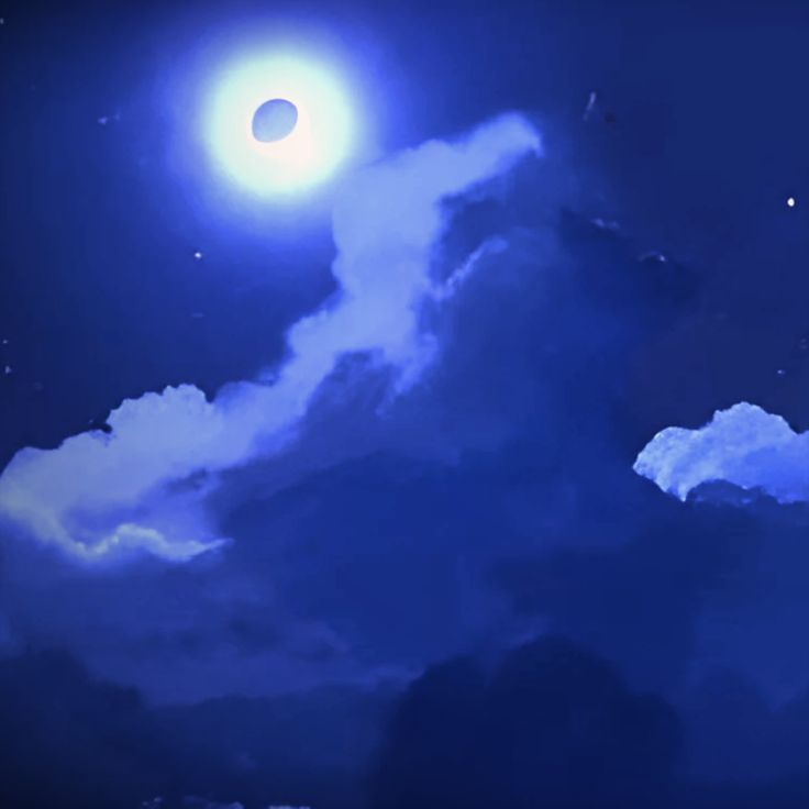 Profile banner