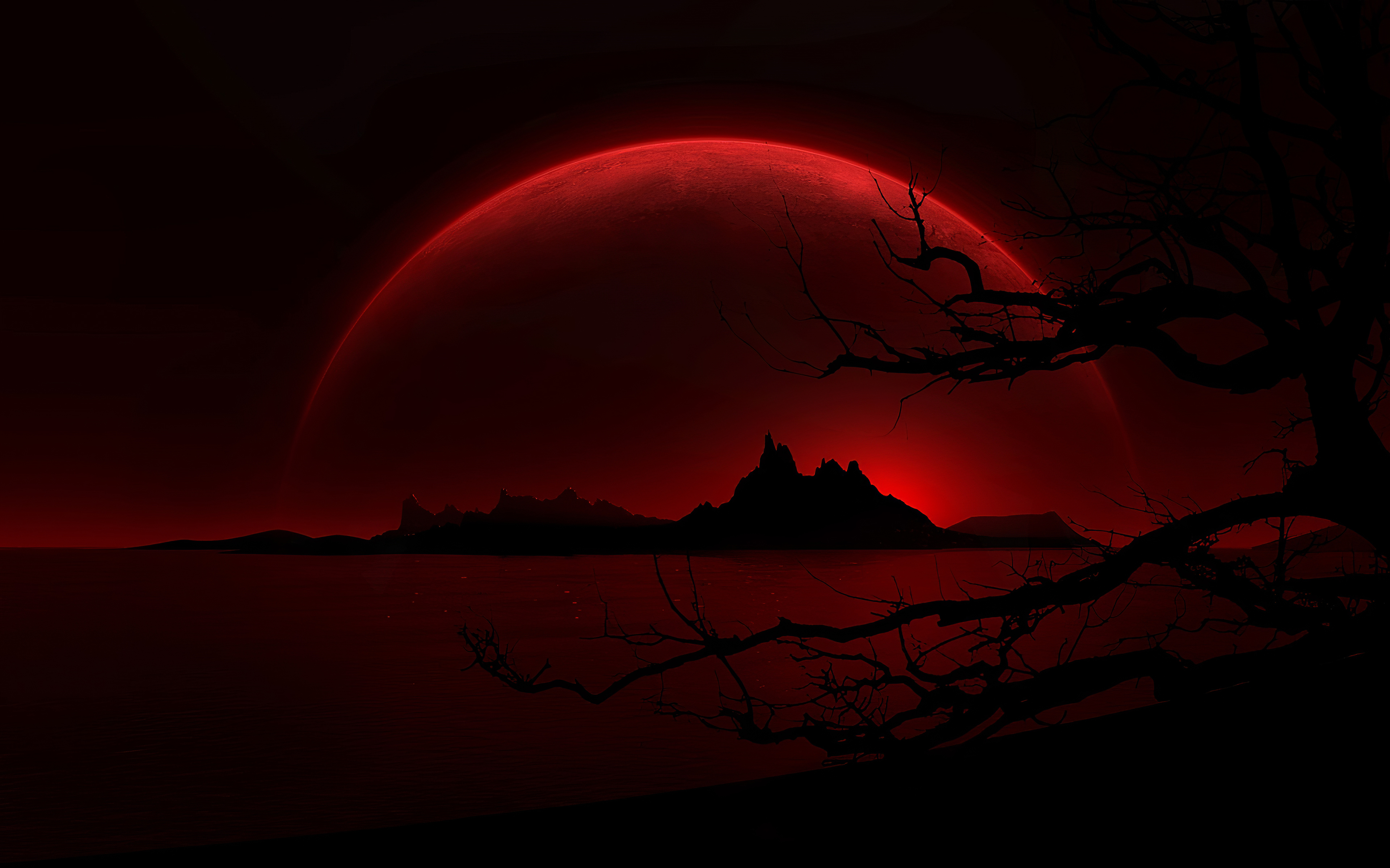 Profile banner
